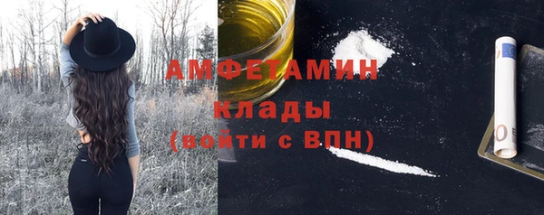 молекула духа Покровск